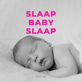 Album cover of Slaap Baby Slaap (Kinder Slaapliedjes uit Nederland) (Music Box)