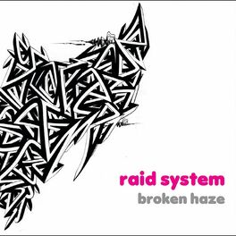 Album cover of Raid System
