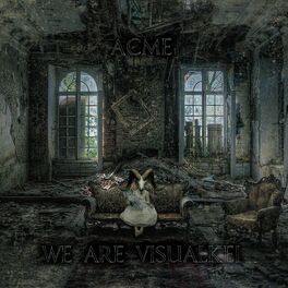 Album cover of WE ARE VISUALKEI