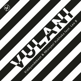 Album cover of Vulani (Ubumnandi)