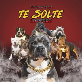 Album cover of Te Solte Lo Perro