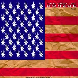 Album cover of The Best of Gonzoe 2