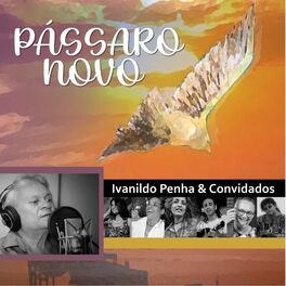 Album cover of Pássaro Novo
