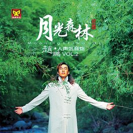 Album cover of 月光森林 (赵鹏人声低音炮2)