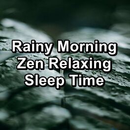 Album cover of Rainy Morning Zen Relaxing Sleep Time