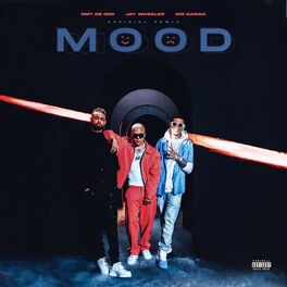 Album cover of MOOD (Remix)