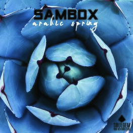 Album cover of Arabic spring