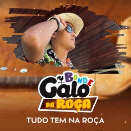 Album cover of Tudo Tem na Roça (Brega Funk)
