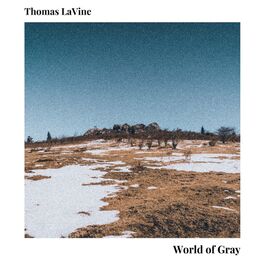 Album cover of World of Gray