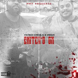 Album cover of SNITCH'D ON (feat. VEIGH)