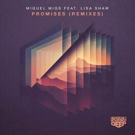 Album cover of Promises (feat. Lisa Shaw) (Remixes)