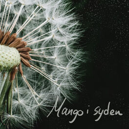 Album cover of Mango i syden