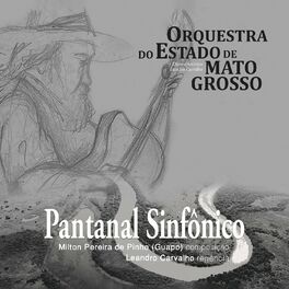 Album cover of Pantanal Sinfônico