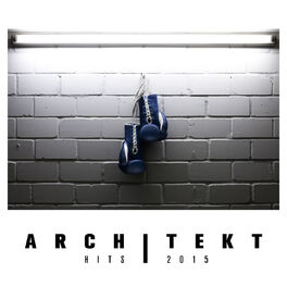 Album cover of Architekt Hits 2015