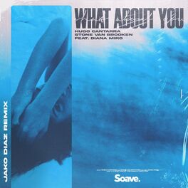 Album cover of What About You (feat. Diana Miro, Hugo Cantarra & Stone Van Brooken) (Jako Diaz Remix)