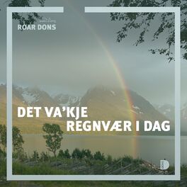 Album cover of Det va’kje regnvær i dag
