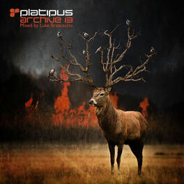 Album cover of Platipus - Archive 13