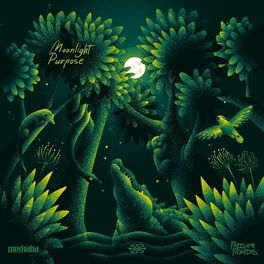 Album cover of Moonlight Purpose