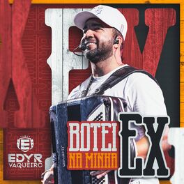 Album cover of Botei na Minha Ex