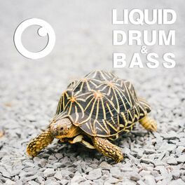 Album cover of Liquid Drum & Bass Sessions #53