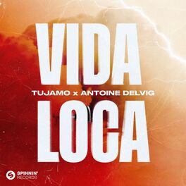 Album cover of Vida Loca