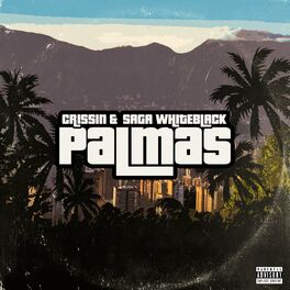 Album cover of Palmas