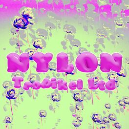 Album cover of Nylon