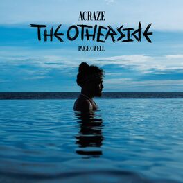 Album cover of The Otherside