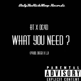 Album cover of What You Need ? (feat. BT)