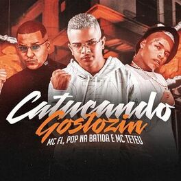 Album cover of Catucando Gostozin