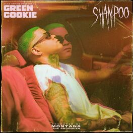 Album cover of Shampoo