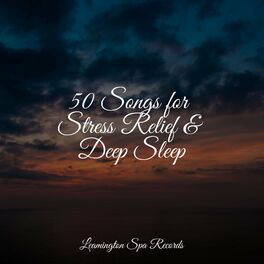 Album cover of 50 Songs for Stress Relief & Deep Sleep