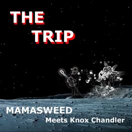 Album picture of The Trip (Single)