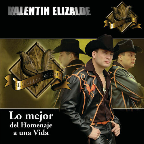 Valentin Elizalde - La Más Deseada (Album Version): escucha canciones con la  letra | Deezer
