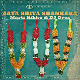 Album cover of Jaya Shiva Shankara