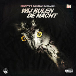 Album cover of Wij Rulen De Nacht