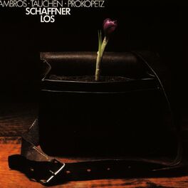 Album cover of Schaffnerlos