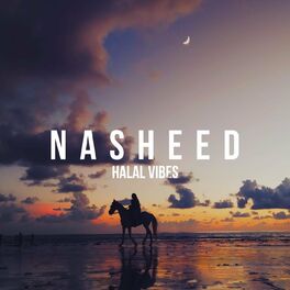 Album cover of Halal Vibes