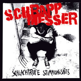 Album cover of Schlachtrufe Stimmungshits