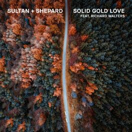 Album cover of Solid Gold Love