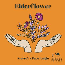 Album cover of Elderflower