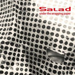 Album cover of Under The Wrapping Paper
