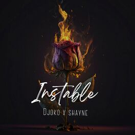 Album cover of INSTABLE