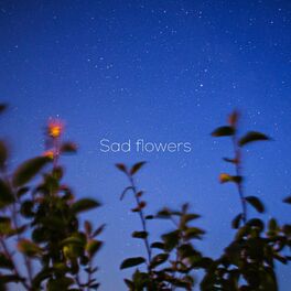 Album cover of Sad Flowers (feat. NARA)