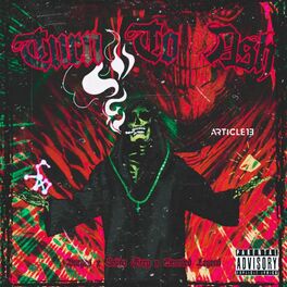 Album cover of TURN TO ASH