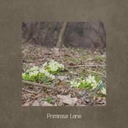 Album cover of Primrose Lane