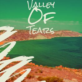 Album cover of Valley Of Tears