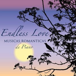 Album cover of Endless Love: Musicas Romanticas de Piano, Musicas Sexy & de Amor, Musicas para Relaxar & Piano Sobre o Amor