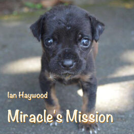 Album cover of Miracle's Mission