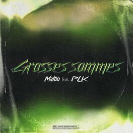 Album cover of Grosses Sommes